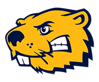 Buena Vista University Esports